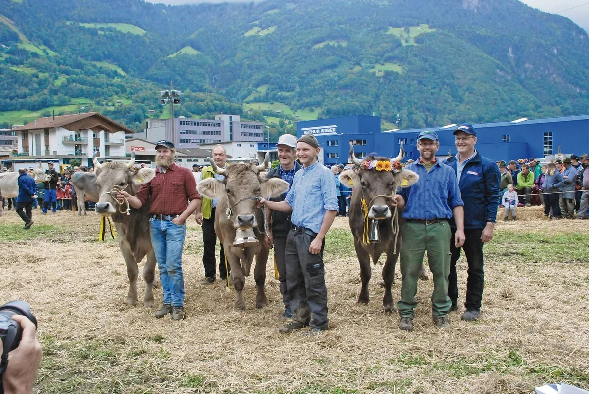 74f751c7ea3e7d3159791f3a6027fa38a8b647ca752ed9d2ce376543ccb007fc Viehschauen, hier 2019 in Uri, sind ein Kulturgut und spielen in den Zentralschweizer Aufzuchtgebieten auch eine wichtige Rolle beim Viehabsatz.