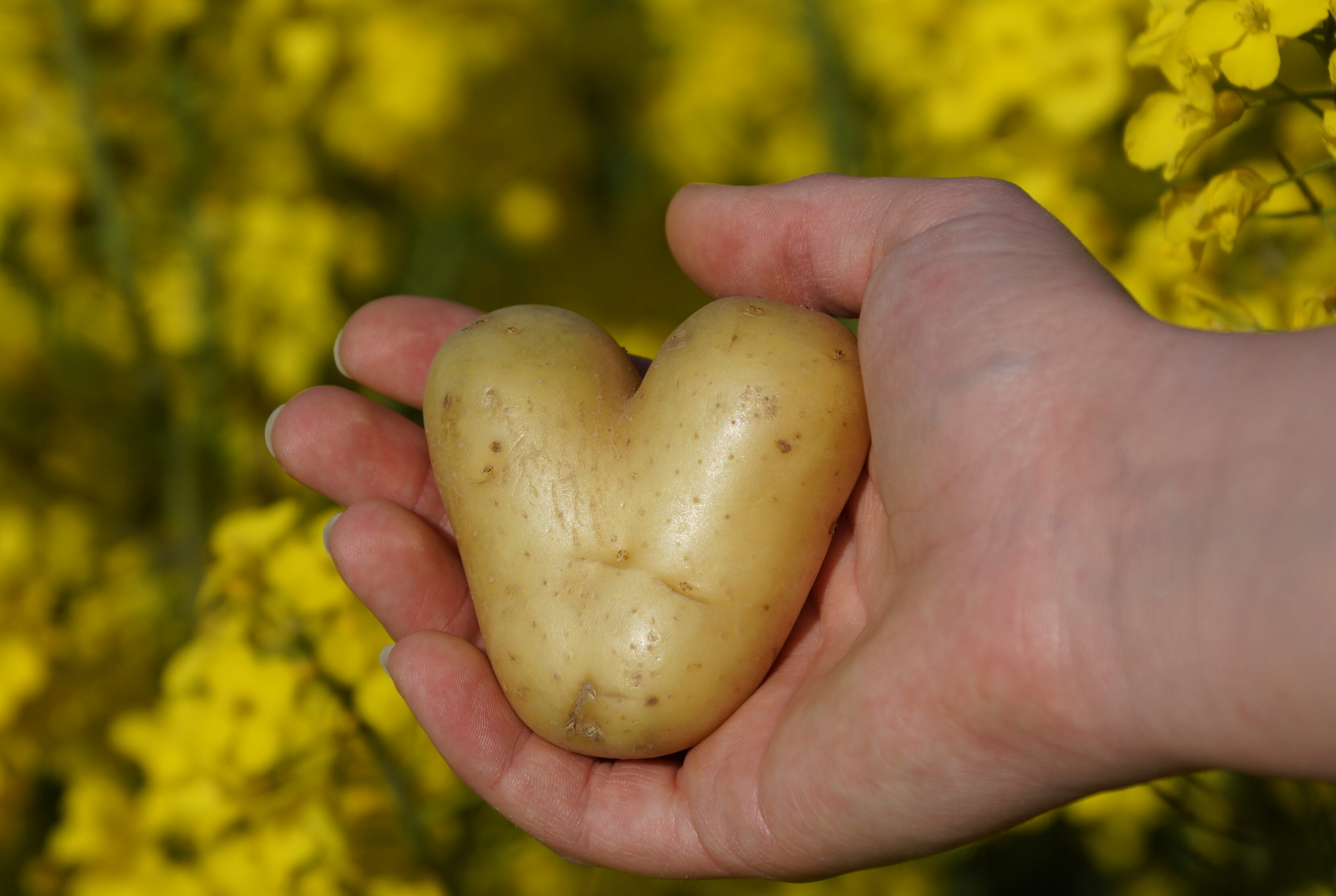Wer allen Ansprüchen genügen will, verliert die Selbstliebe oft aus dem Blick. 