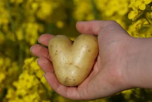 Wer allen Ansprüchen genügen will, verliert die Selbstliebe oft aus dem Blick.