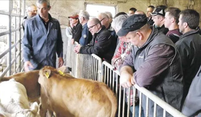 779311d1b7b3d0db4ed9c9020776ce3257c3ed7b Der Kurs über Tränkekälber und den Tränkermarkt stiess bei den Mitgliedern von Swiss Beef Mittelland auf Interesse. (Bild zVg)