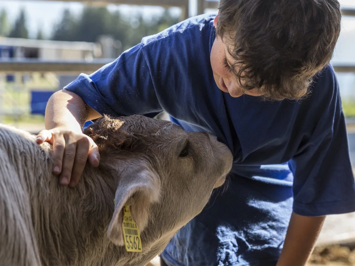 Das Projekt Stallvisite soll die Landwirtschaft der Bevölkerung näher bringen. (Bild stallvisite.ch)