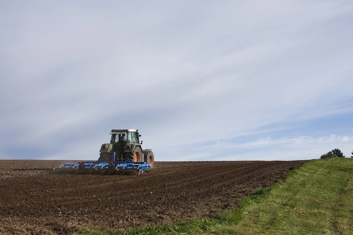2ab7752976aae86b5d7afe898011cce0e79a7992 Laut dem Bundesrat sei der Aufbau einer neuen Institution nicht sinnvoll, da Agroscope für diese Themen verantwortlich sei. (Bild Pixabay)