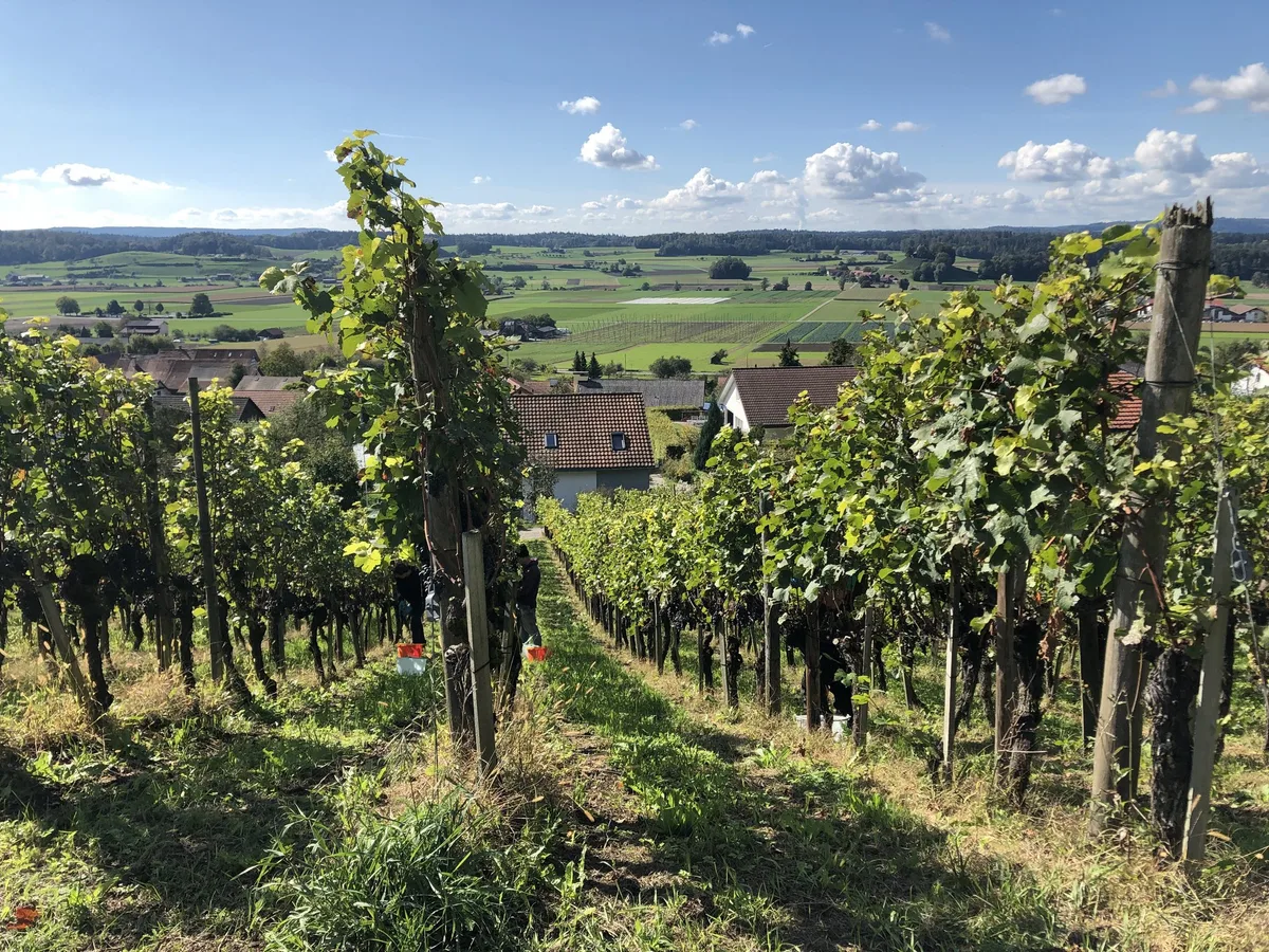 stammheim_zuercher_weinland Das Regionalmanagement im Zürcher Weinland sieht sich als Motor, der die Region antreibt