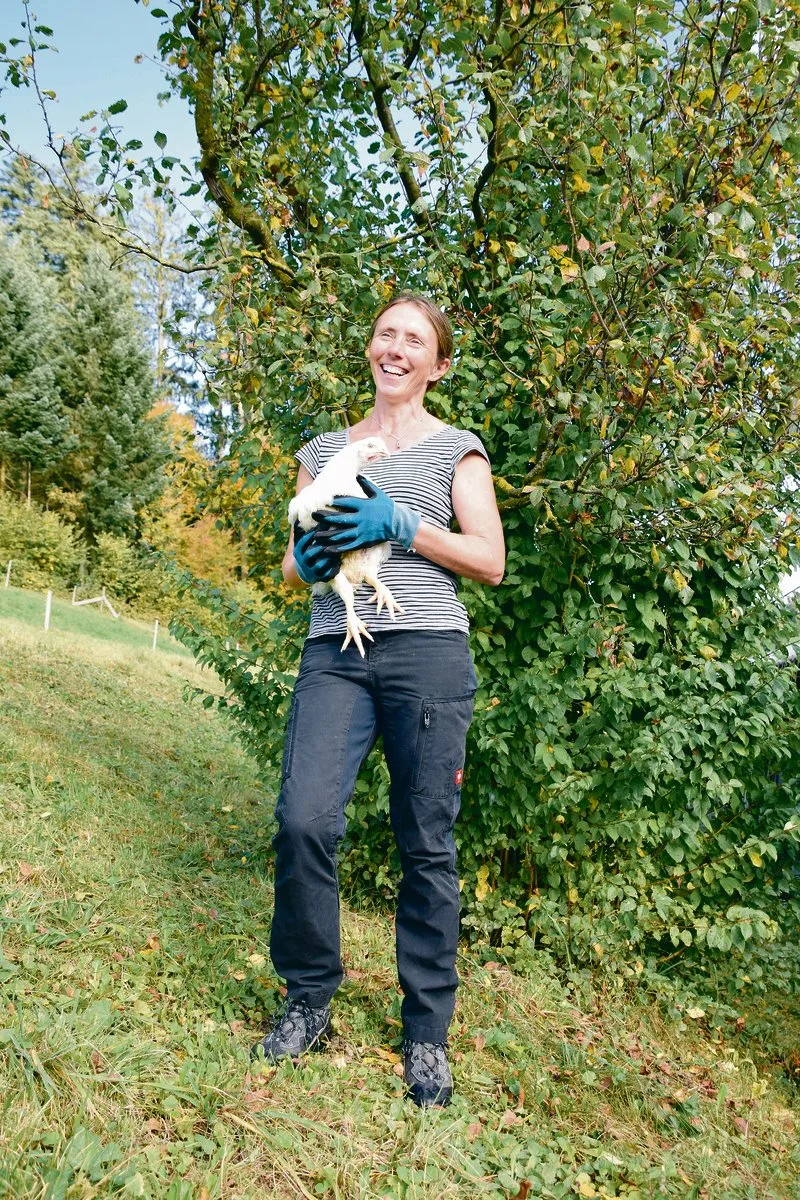 3667dbb4cc026b56e38e58d209781447c4c67e3a Strahlefrau mit Huhn: Silvia Stucki fängt seit sieben Jahren regelmässig Mastpoulets ein – manchmal auch mitten in der Nacht. (Bilder Monika Studer)