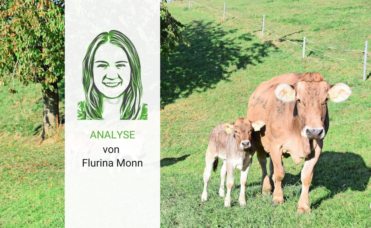 Artikel_Analyse_BauZ_Monn_korrigiert Klimaschutz und Tierschutz wollen nicht unbedingt dasselbe
