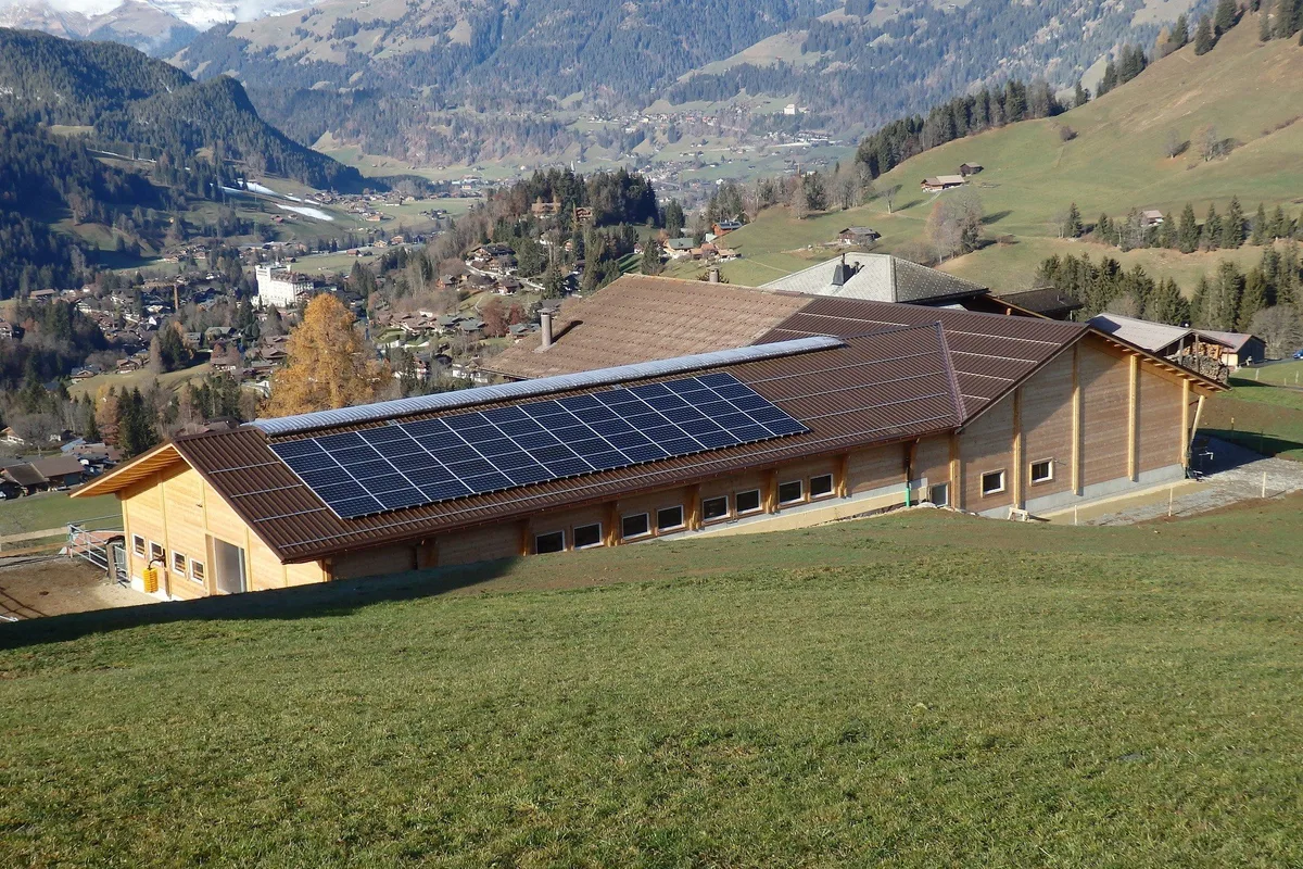 07135efd92c6af39e64b9f4e671bd3604d9a5273 Holz sollte zum Heizen, bauen und Strom erzeugen genutzt werden, ist Ernst Wandfluh überzeugt. (Bild Initiative Holz)