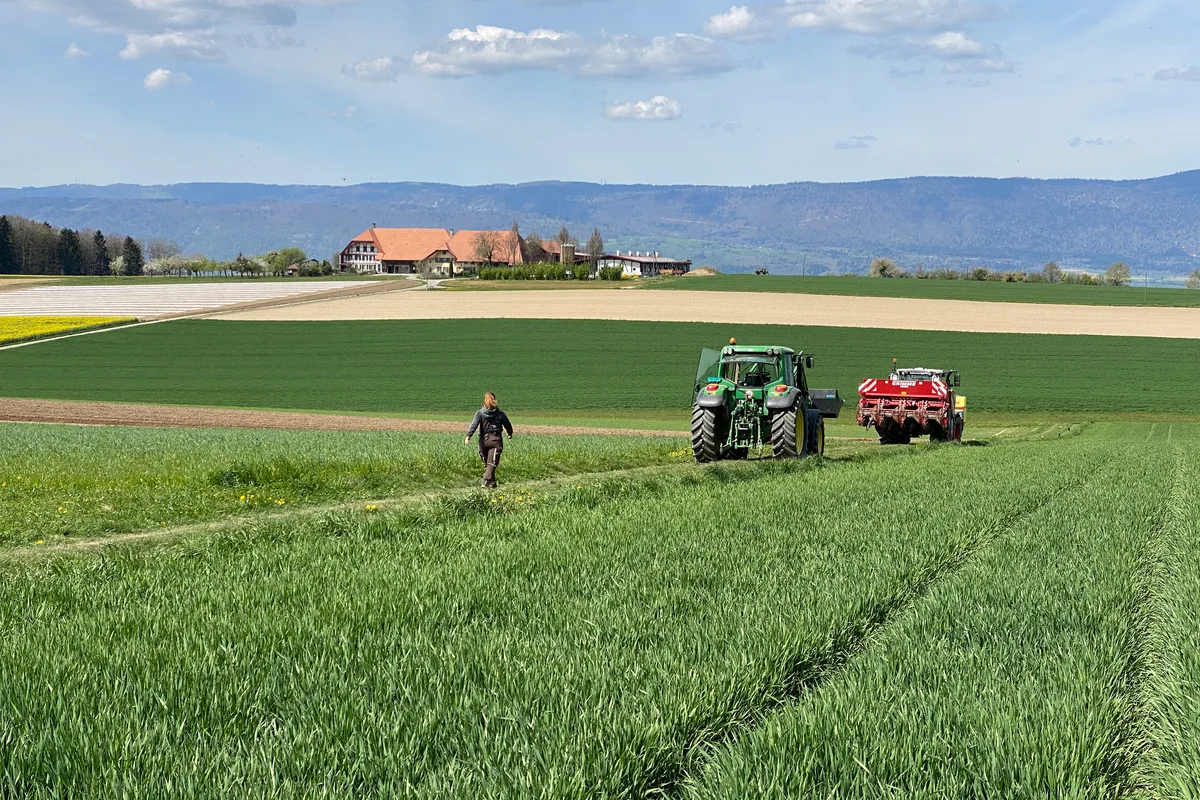 Kartoffeln_setzen.JPG Regional organisiert, vielfältig strukturiert und unter Berücksichtigung ökologischer sowie sozialer Auswirkungen: So wünscht man sich die Schweizer Landwirtschaft.