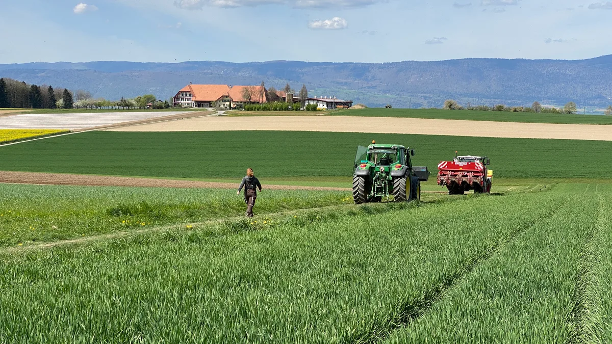 Kartoffeln_setzen.JPG Regional organisiert, vielfältig strukturiert und unter Berücksichtigung ökologischer sowie sozialer Auswirkungen: So wünscht man sich die Schweizer Landwirtschaft.