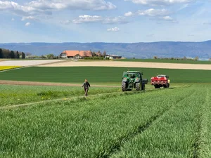 Regional organisiert, vielfältig strukturiert und unter Berücksichtigung ökologischer sowie sozialer Auswirkungen: So wünscht man sich die Schweizer Landwirtschaft.