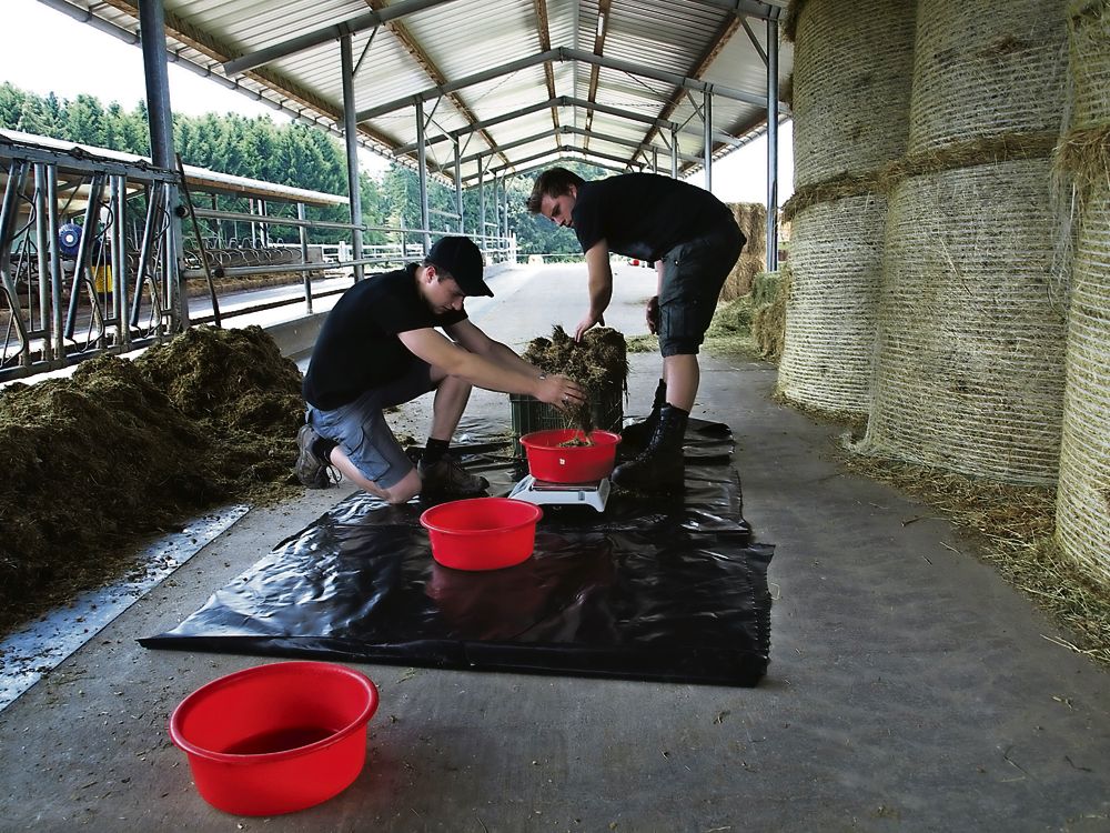 Lukas Hofstetter (links) und Reto Osterwalder wägen je ein Kilogramm Futter aus dem oberen und unteren Teil der Harasse ab. (Bild: Ursina Berger-Landolt)