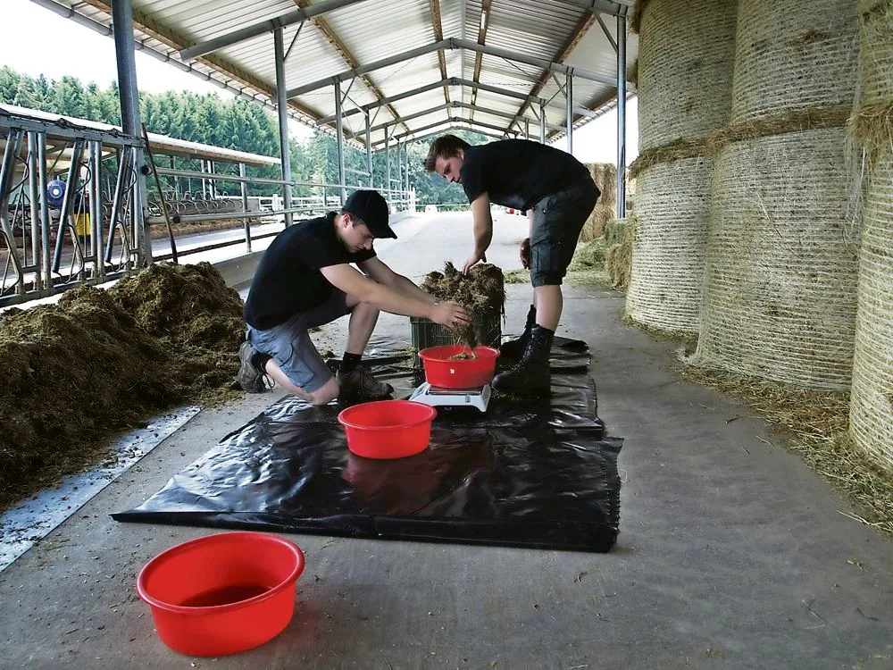 2d72ceea24ca5d1385d2e392c81a39813c43a157 Lukas Hofstetter (links) und Reto Osterwalder wägen je ein Kilogramm Futter aus dem oberen und unteren Teil der Harasse ab. (Bild: Ursina Berger-Landolt)