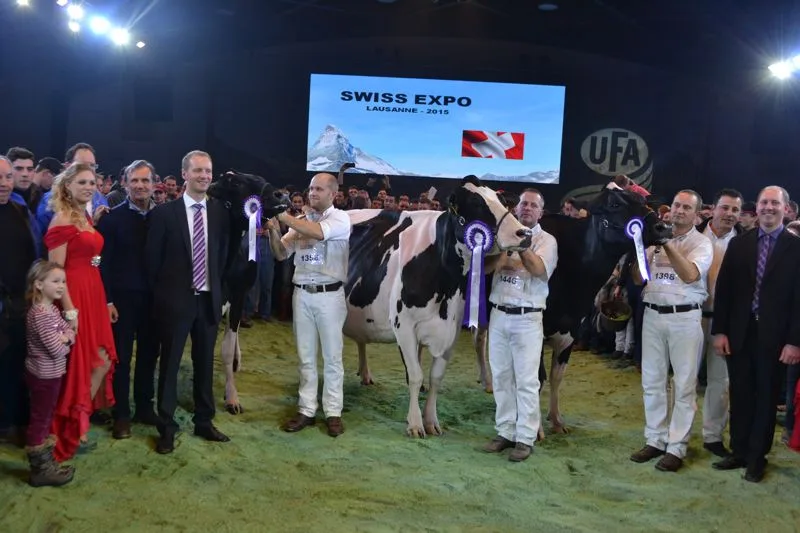 ef7712ffb4f191eced28ec88a861ef48b66fbd8e Senior Champion (Mitte): Decrausaz Iron O'Kalibra, GS Alliance und Pat Conroy, Bürglen / Reserve Senior Champion (links): Atwood Galys-Vray, M. und E. Junker und Thomas Staub, Iffwil / Mention Honorable (rechts): Posozaa Goldwyn Sonja, All. Beltramino, Bag2, Al.Be.Ro., L. Bach und Luca, Italien
