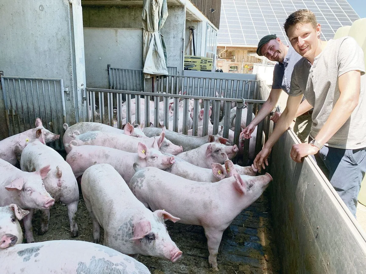 6ef800b7a4e850d101e4fc7f947a563552559fb886b651d3af1a292059946c98 Landwirt Markus Gisler (rechts) und Forscher Thomas Steinsberger bei den Mastschweinen auf dem Betrieb Erlosen.