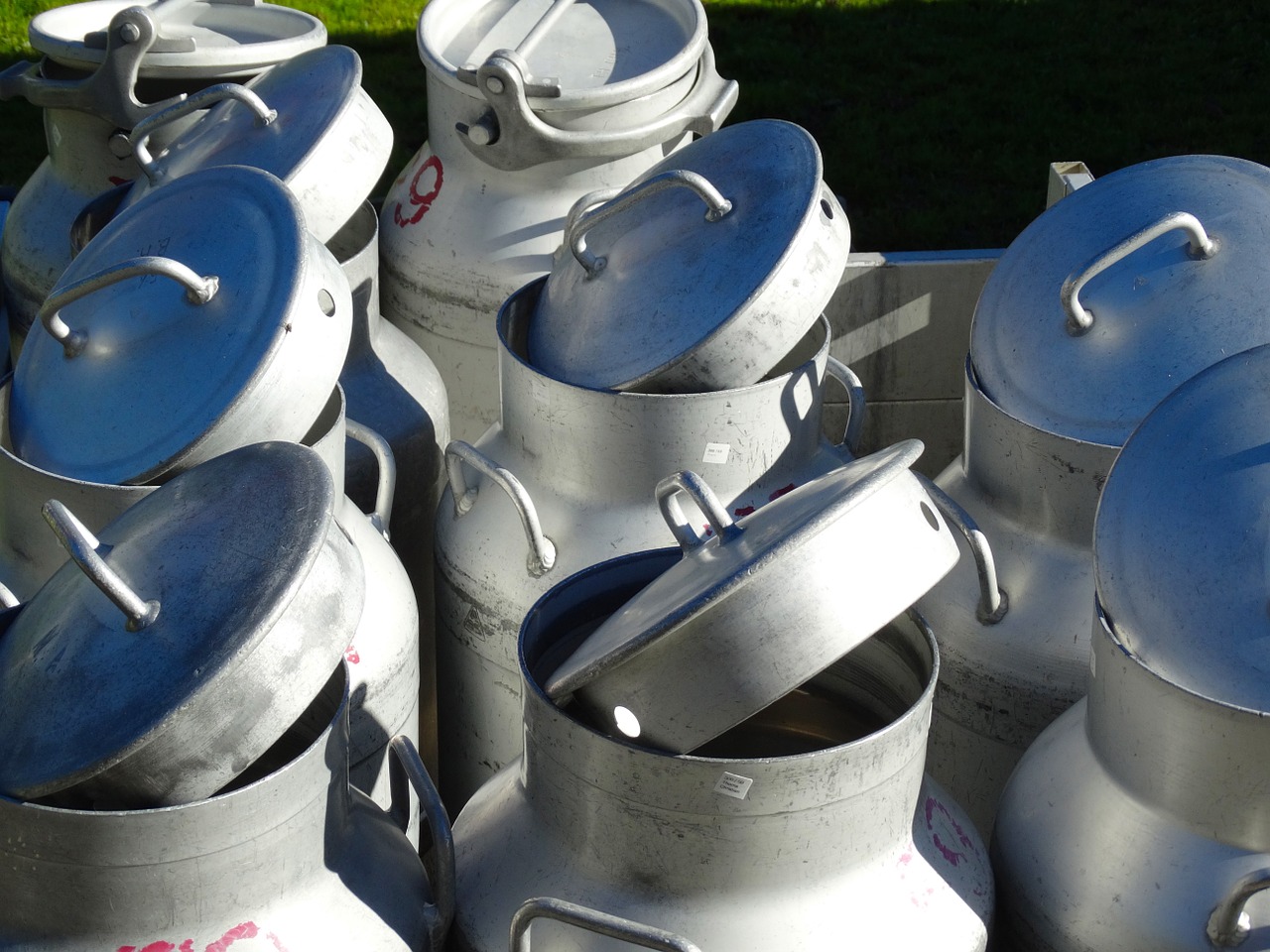Die Wirtschaftskommission der kleinen Kammer will nicht zurück zu einer Mengensteuerung bei der Milch. (Symbolbild Pixabay)