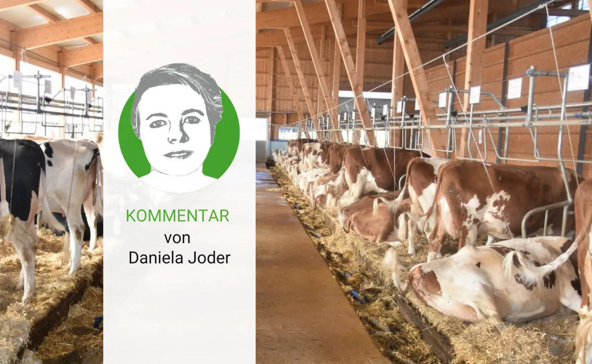 kommentar-daniela Diskussion um den Anbindestall: Die Frage sollte anders lauten