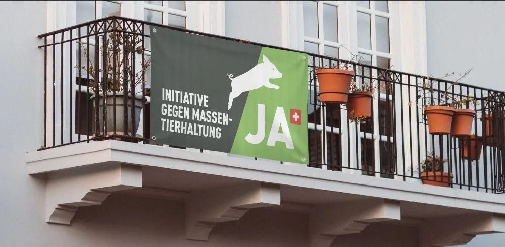 mti Nein zu Massentierhaltungs-Initiative und Gegenvorschlag