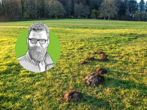 Politik, Behörden und Justiz richten in der Landwirtschaft andere Schäden an, als die gefrässigen Schermäusen. Leidtragende sind in jedem Fall die Landwirte.