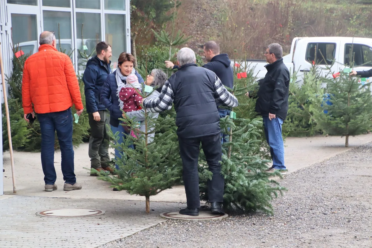 Christbaum_Benken Hier ist der Christbaum-Kauf noch ein geselliger Anlass