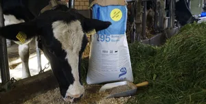 Die methanreduzierende Wirkung von Agolin Ruminant soll auf einer Vebesserung der Verdauung beruhen. Dabei steige auch die Futtereffizenz und die Akzeptanz des Futters sei in Feldtests bestätigt worden.