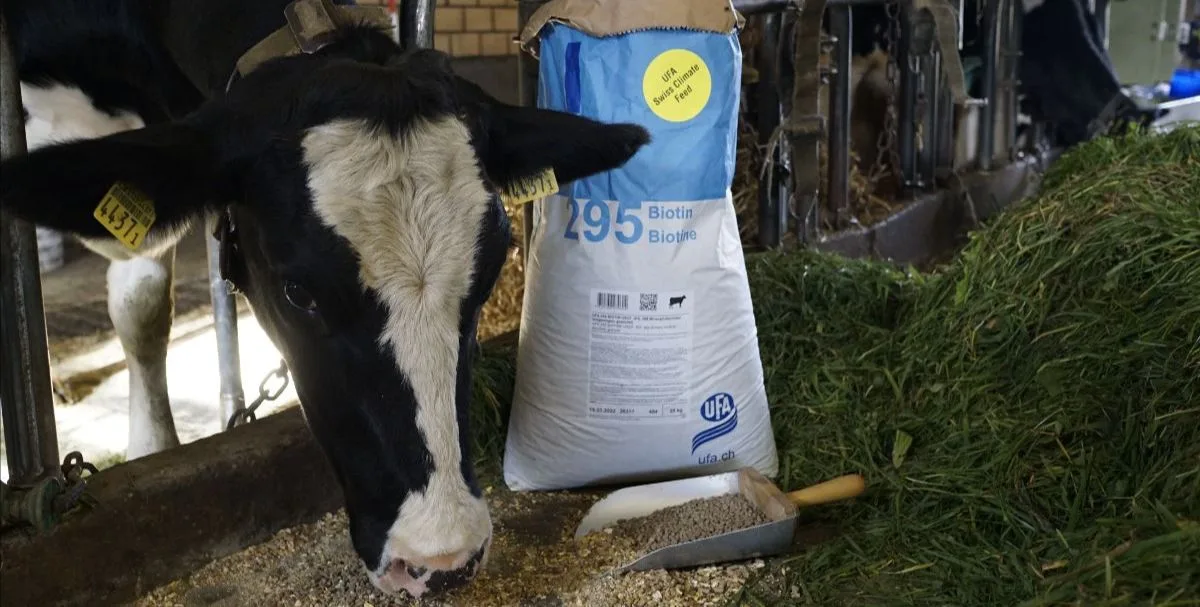 fanco_agolin_ruminant Ab Herbst 2022 verkauft die Fenaco dank Futtermittel CO2-Zertifikate