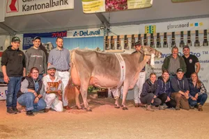 Philipp Zweifel aus Linthal und sein Team hatten mit dem Sieg von Peggy-Sue grossen Grund zur Freude.