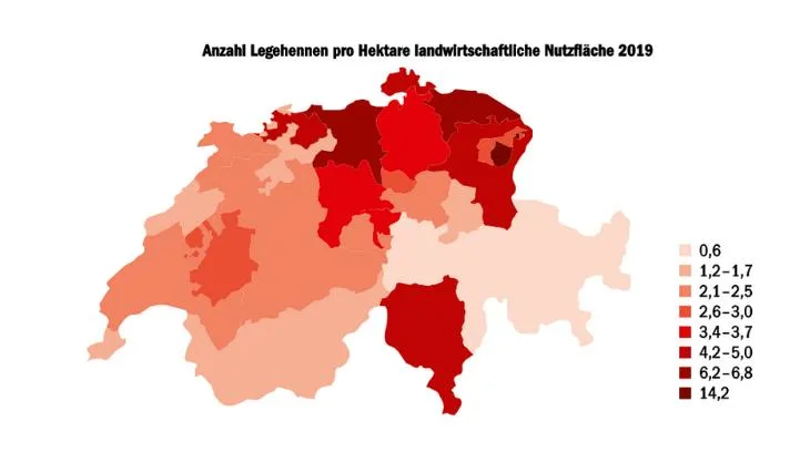 64d7f86b79dd38a3147bc25c38230978b8c4aaba Vor allem in der Ostschweiz herrscht eine grosse Legehennendichte. In Appenzell Innerrhoden wurden 2019 je Hektare LN ganze 14,2 Hennen gehalten. (Quelle Agristat)