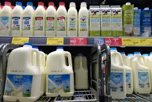 Molkereiprodukte sind bei der Sozialhilfe in Australien geschätzt im Kampf gegen den Hunger. (Bild lid/mr)