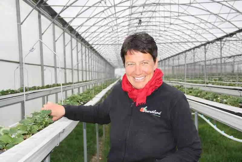 e6e72051e9ebfa60cfcef5bca69f01eeddb811c1 Nicht mehr lange und die Erdbeersaison beginnt und damit viel Arbeit. Doch die Betriebsleiterin freut sich darauf. (Bilder Andrea Wyss)
