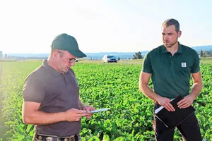 Gastgeber Harald Jöhr (l.) und Fabian Roth von der KWS Suisse SA führten durch die Zuckerrübenkulturen.