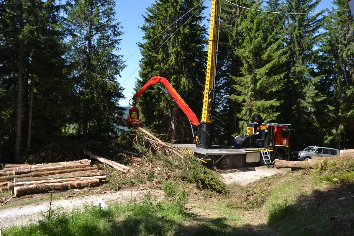 adf1fc6394e10d8c61ab081a08d40971816b275f Das Holz wird im Bestand gefällt und im Ganzbaum-Verfahren zur Kombi- Maschine geseilt, wo es vom Harvesterkopf Woody entastet wird.
