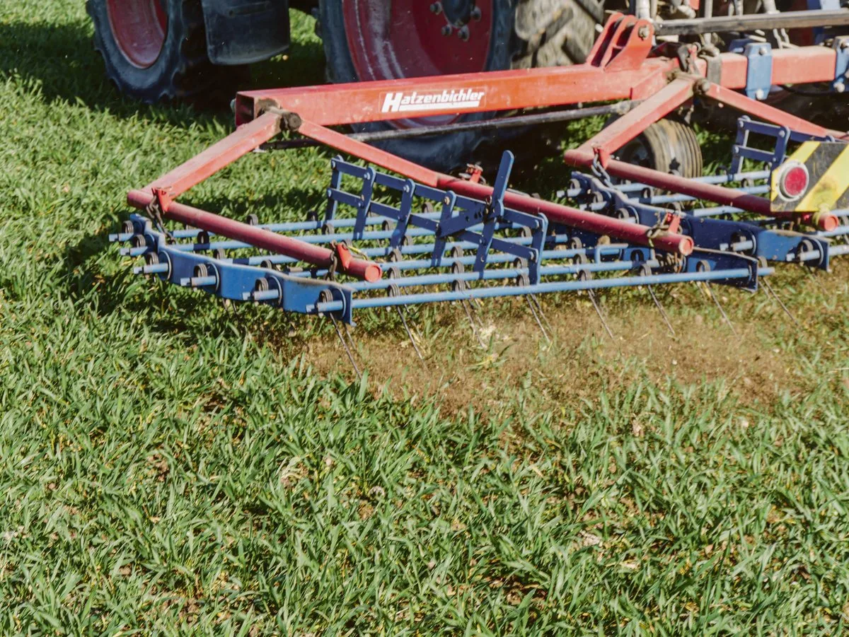 e22700b1bbad025e915d4f9b019c3fc3290de3ca Weizen lässt sich gut striegeln. Beiträge machen den herbizidlosen Anbau auch wirtschaftlich interessant. (Bild Thomas Steiner, Fachstelle Pflanzenschutz)