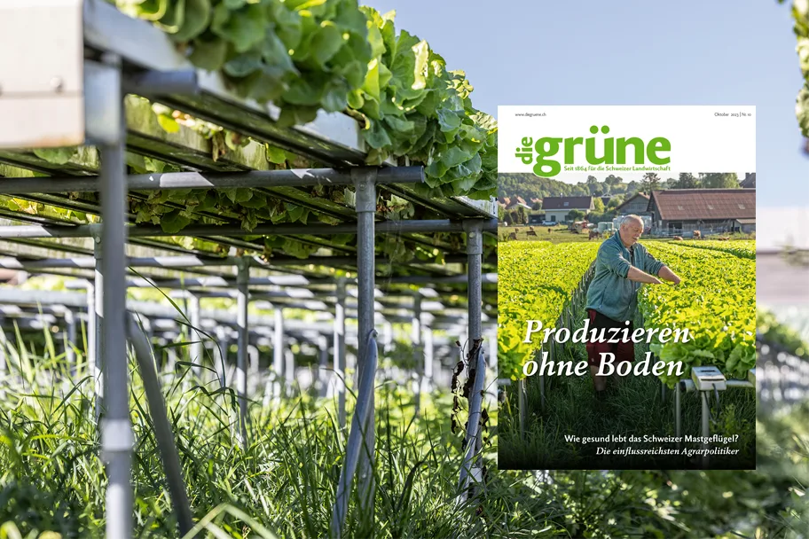DG_23-10_3zu2_Titelbild «die grüne» im Oktober 2023 – Produzieren ohne Boden
