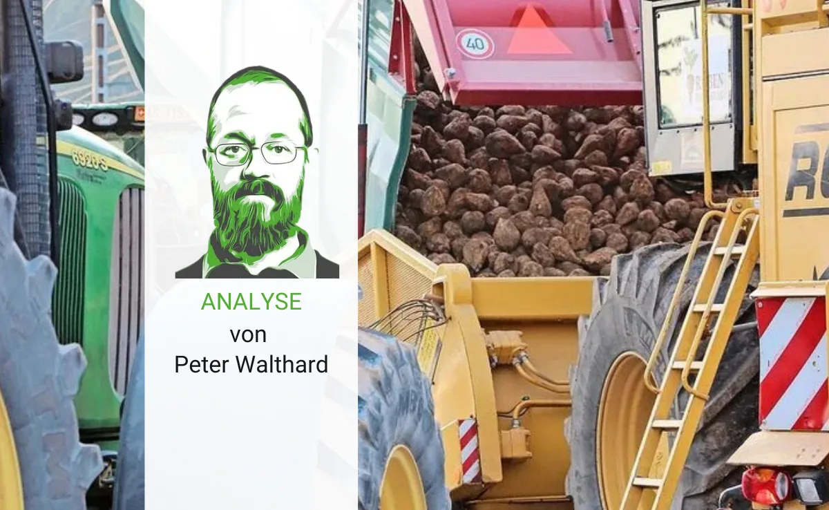 Artikel_Analyse_BauZ_WalthardBeko Feine Unterschiede: Wer vertritt hier eigentlich wen?