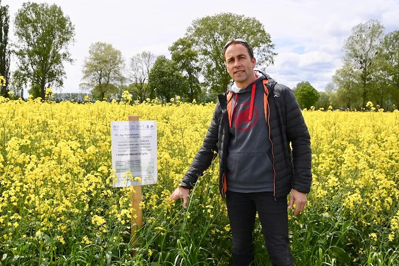 774d025dbfacf7756069d20d2fe43d848292e641 Reto Minder, Präsident Swiss No-Till, zeigt eine Rapskultur, die mit Begleitpflanzen gesät wurden. Die Begleitpflanzen sorgen dafür, dass der Boden immer bedeckt bleibt. (Bild Jasmine Baumann)