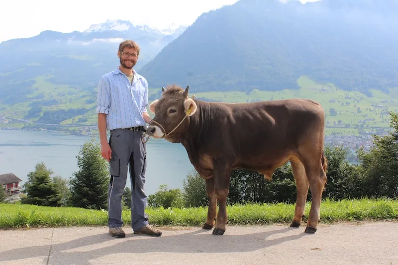 f28ddd313986e9ceefbcdc626bcf44ec9c74761b Der Stier Oreo von Fredy Frank (Kat.-Nr. 6) ist gemäss Reglement der richtige Mister Genetik OB. (Bild Braunvieh Schweiz)