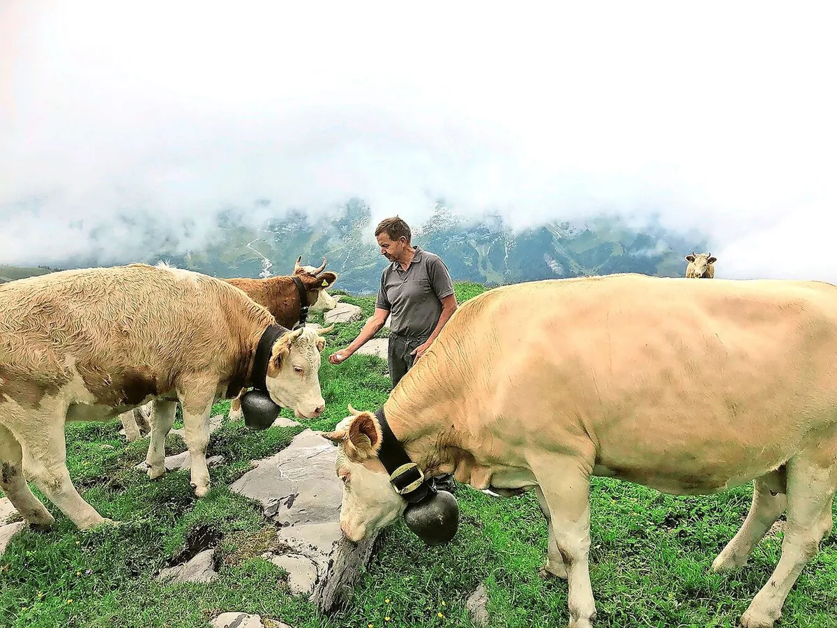 d7ef270906a22f17c89e2925fe870ef9a25ce47b47be4917eeffd7598a574df3 «Jeden Frühling ein Heimkommen»: Erich von Siebenthal auf der Alp.