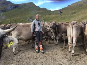 Tim Gnos hat den sechsten Sommer auf der Jungviehalp Gadenstett/Farur im bündnerischen Schanfigg verbracht.