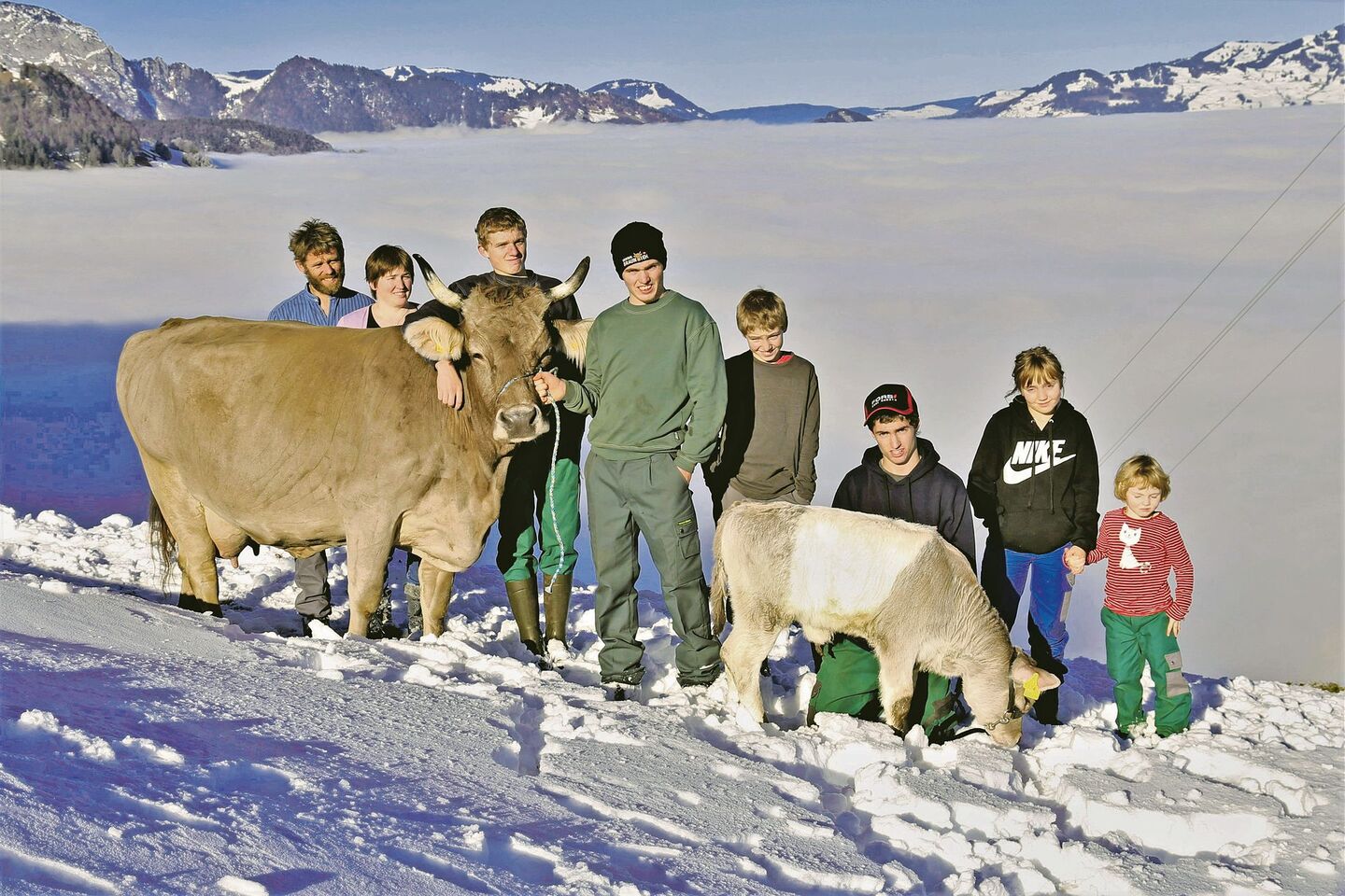 Thomas und Heidi Eberli mit David, Sandro, Marco, Jonas, Carmen und Jasmin (v. l. n. r.) sowie der OB-Kuh Alpenrose und ihrem Gurtkalb Alpina.