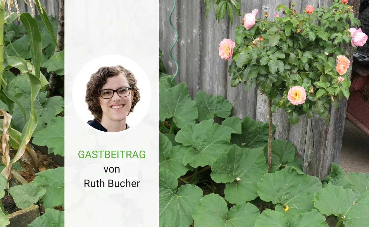 Artikel_Gastbeitrag_BauZ_Bucherhundet «Äs hundet!»