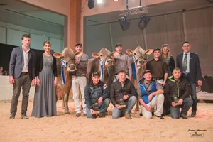 Siegerbild um Mitternacht: Grand Champion Heinen’s Superstar Yasmin flankiert von Vize Franzen BS Salomon Sina, beide in Besitz von Franz und Pascal Felder, und der Drittplatzierten Südel’s BS Salomon Saphira von Lustenberger/Portmann (r).