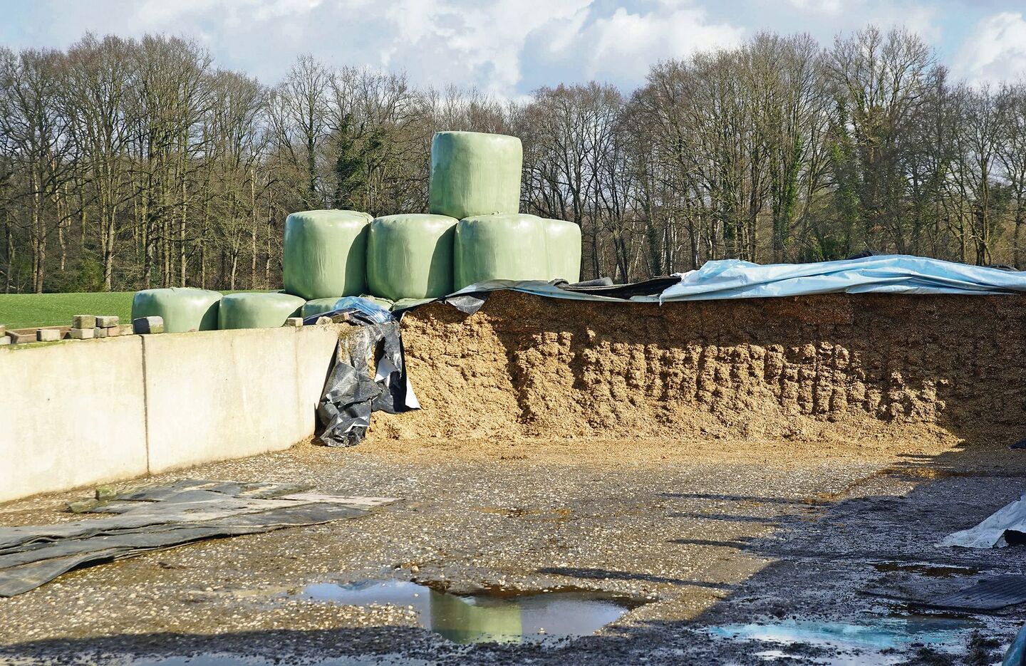 Damit es im Winter nicht zu Fehlgärungen kommt, ist eine fachgerechte Entnahme elementar. Um die Milchsäuregärung zu fördern, darf möglichst wenig Luft in die Silage eindringen. Kurz gehäckseltes Futter verdrängt Sauerstoff und ist somit vorteilhaft.