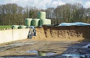 Damit es im Winter nicht zu Fehlgärungen kommt, ist eine fachgerechte Entnahme elementar. Um die Milchsäuregärung zu fördern, darf möglichst wenig Luft in die Silage eindringen. Kurz gehäckseltes Futter verdrängt Sauerstoff und ist somit vorteilhaft.