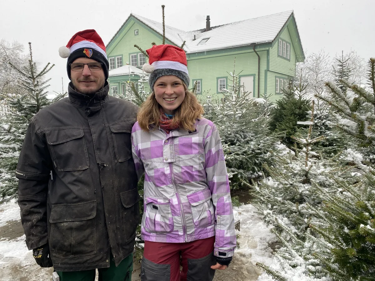Der Mathis-Hof macht den Christbaumkauf zu einem ganz besonderem Wintererlebnis