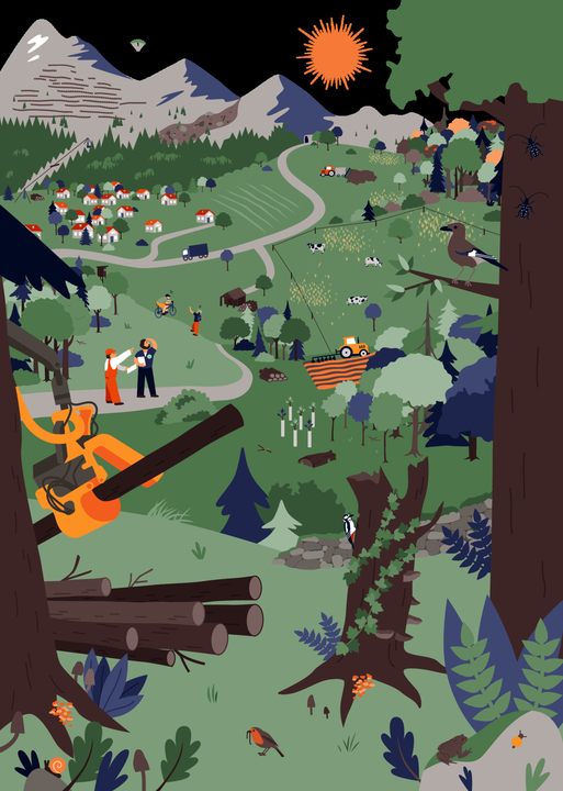 Vielfältige Interessen im Wald – von Freizeit über Wirtschaft bis Naturschutz.