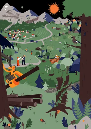 Vielfältige Interessen im Wald – von Freizeit über Wirtschaft bis Naturschutz.