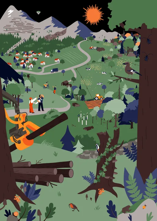 Vielfältige Interessen im Wald – von Freizeit über Wirtschaft bis Naturschutz.