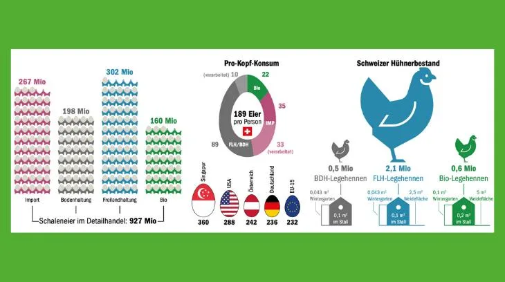 Im internationalen Vergleich essen Schweizerinnen und Schweizer deutlich weniger Eier, als Durchschnitts-Bürger beispielsweise in Singapur. (Grafik mi/Quelle BLW)