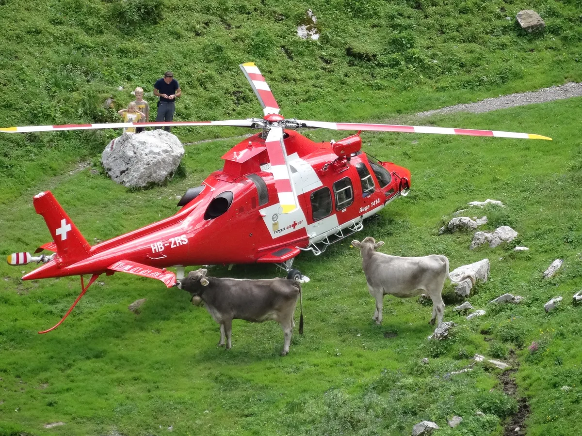 Ein Rekord – 39 Flüge für die Schweizer Berglandwirtschaft an einem Tag