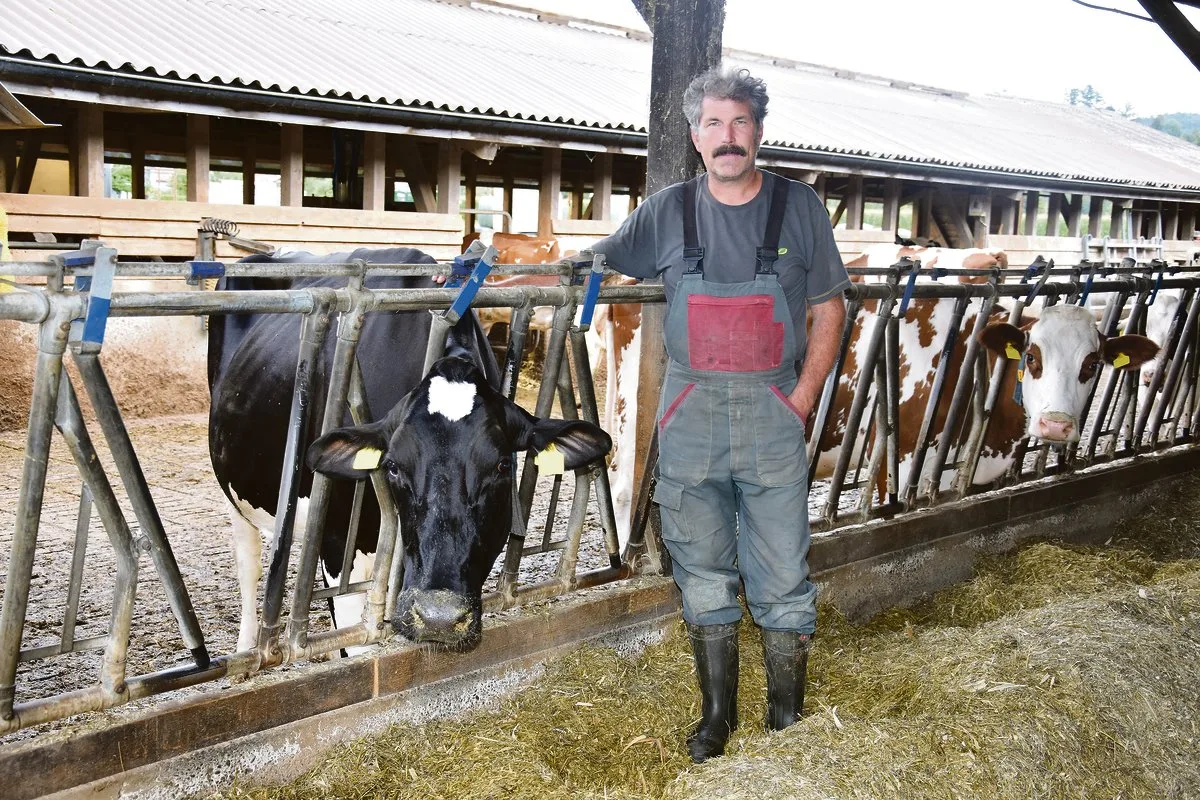 d6a57c36f3a0827036661df57136004e7f06006d Auf seinem Betrieb hält Peter Leiser 45 Holstein- und Red-Holstein-Kühe. «In ein paar Jahren habe ich nur noch Holsteinkühe», sagt der Betriebsleiter überzeugt.(Bild Peter Fankhauser)