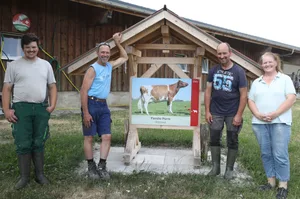 Adrian, Hugo, Edgar und Silvia Pürro ziehen auf dem vielseitigen Milchwirtschaftsbetrieb am selben Strick.